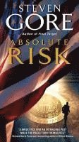 bokomslag Absolute Risk