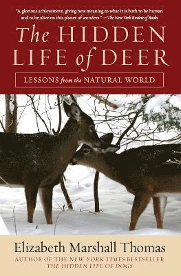 Elizabeth Marshall Thomas - Hidden Life of Deer, Häftad