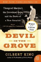 bokomslag Devil In The Grove