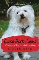 Come Back, Como: Winning The Heart Of A Reluctant Dog 1