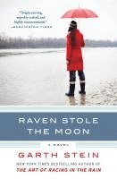 bokomslag Raven Stole the Moon