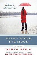 Raven Stole The Moon 1
