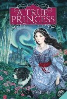 bokomslag A True Princess