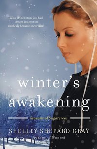 bokomslag Winter's Awakening