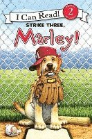 bokomslag Marley: Strike Three, Marley!