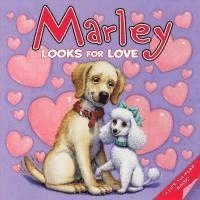 bokomslag Marley: Marley Looks for Love: A Lift-The-Flap Book for Kids