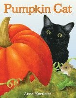 bokomslag Pumpkin Cat