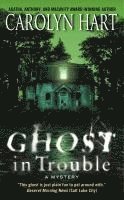 bokomslag Ghost in Trouble