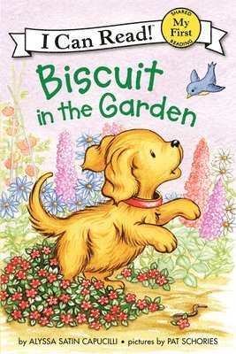 Biscuit In The Garden 1