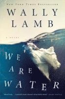 bokomslag We Are Water