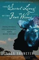 bokomslag Secret Lives of the Four Wives, The