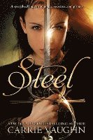 bokomslag Steel
