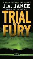 bokomslag Trial By Fury