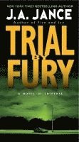 bokomslag Trial by Fury