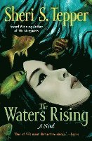 bokomslag The Waters Rising