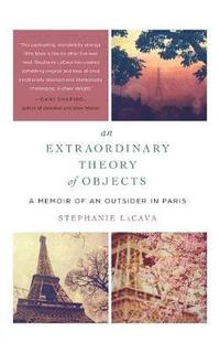 bokomslag Extraordinary theory of objects - a memoir of an outsider in paris