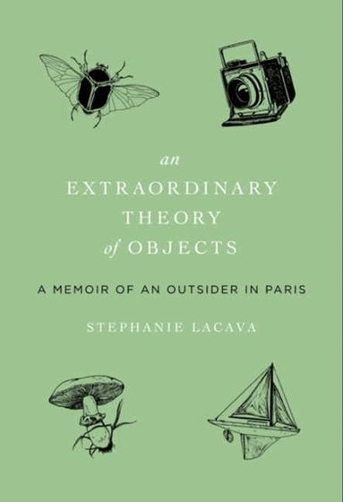 Stephanie LaCava - Extraordinary Theory of Objects, Häftad