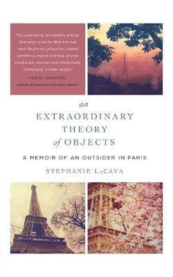 bokomslag Extraordinary Theory of Objects, An