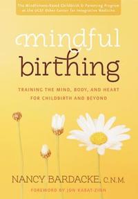 bokomslag Mindful Birthing