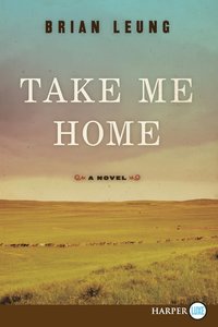 bokomslag Take Me Home LP
