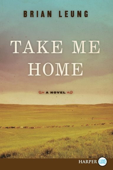 bokomslag Take Me Home LP