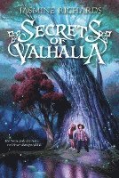 bokomslag Secrets of Valhalla