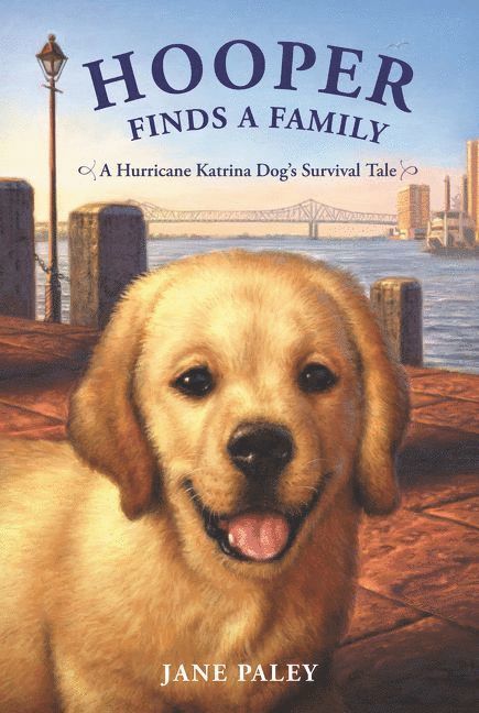 Jane Paley - Hooper Finds a Family: A Hurricane Katrina Dog's Survival Tale, Häftad