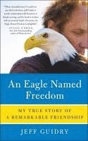 bokomslag An Eagle Named Freedom: My True Story of a Remarkable Friendship