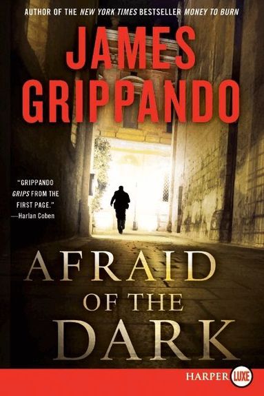James Grippando - Afraid of the Dark Large Print, Häftad
