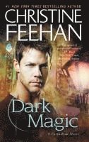 Christine Feehan - Dark Magic, Häftad