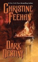Christine Feehan - Dark Destiny, Häftad