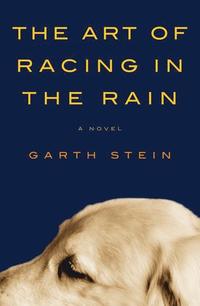 bokomslag The Art of Racing in the Rain