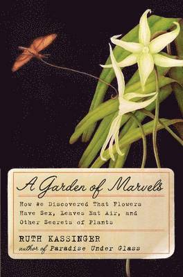 Garden of Marvels
