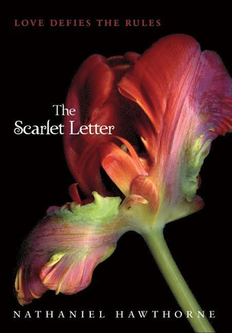 The Scarlet Letter 1