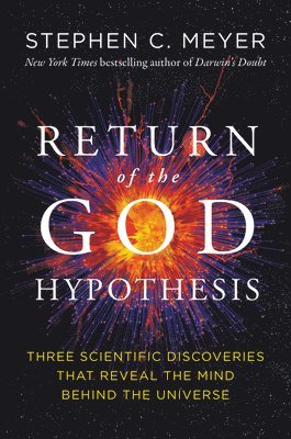bokomslag The Return of the God Hypothesis