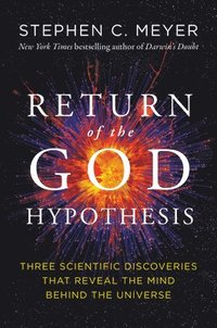 bokomslag Return of the God Hypothesis