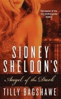 bokomslag Sidney Sheldon's Angel of the Dark