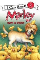 bokomslag Marley, Not a Peep!