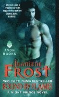 bokomslag Bound by Flames: A Night Prince Novel