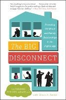 bokomslag Big Disconnect