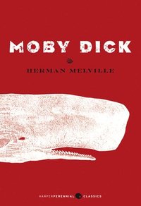 bokomslag Moby Dick