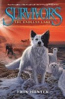Survivors #5: The Endless Lake 1