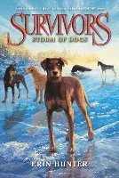 bokomslag Survivors #6: Storm of Dogs