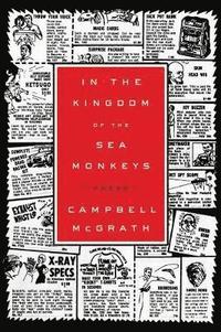 bokomslag In the Kingdom of the Sea Monkeys