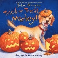 bokomslag Trick or Treat, Marley!