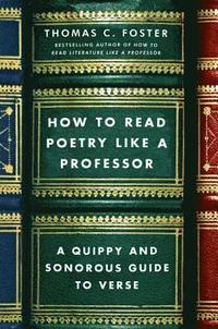 bokomslag How to Read Poetry Like a Professor