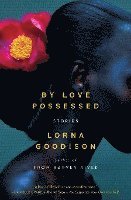 bokomslag By Love Possessed: Stories