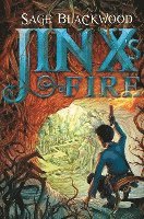 bokomslag Jinx's Fire