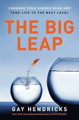 The Big Leap 1