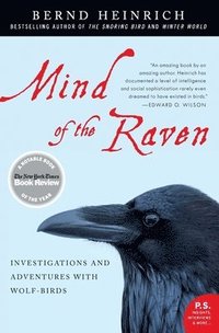 bokomslag Mind of the Raven